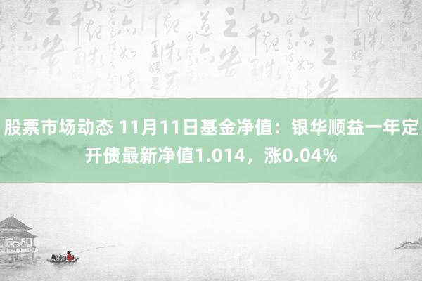 股票市场动态 11月11日基金净值：银华顺益一年定开债最新净值1.014，涨0.04%