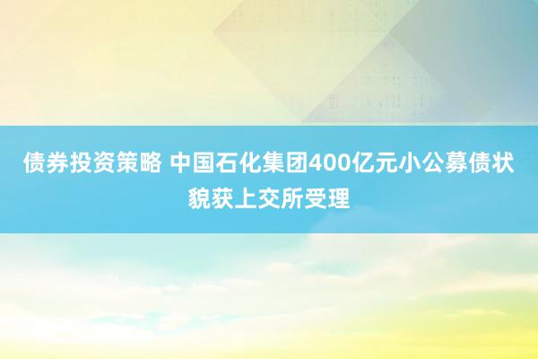 债券投资策略 中国石化集团400亿元小公募债状貌获上交所受理