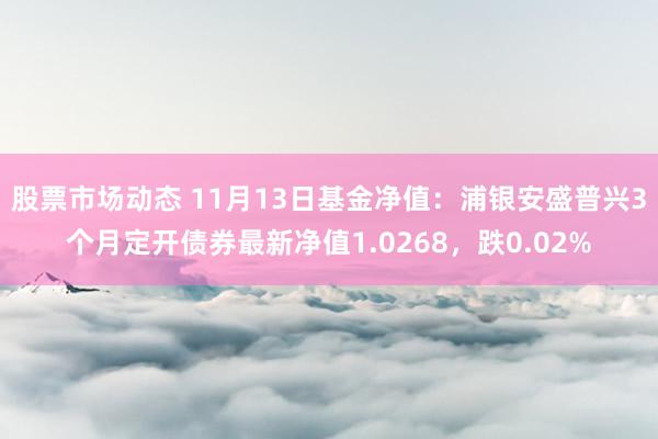 股票市场动态 11月13日基金净值：浦银安盛普兴3个月定开债券最新净值1.0268，跌0.02%