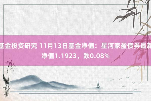 基金投资研究 11月13日基金净值：星河家盈债券最新净值1.1923，跌0.08%