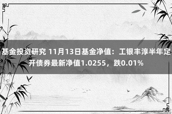 基金投资研究 11月13日基金净值：工银丰淳半年定开债券最新净值1.0255，跌0.01%