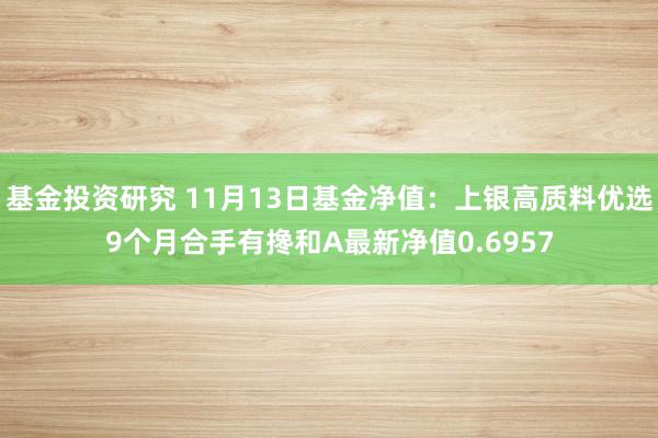 基金投资研究 11月13日基金净值：上银高质料优选9个月合手有搀和A最新净值0.6957