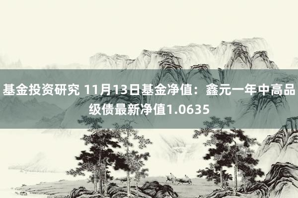 基金投资研究 11月13日基金净值：鑫元一年中高品级债最新净值1.0635