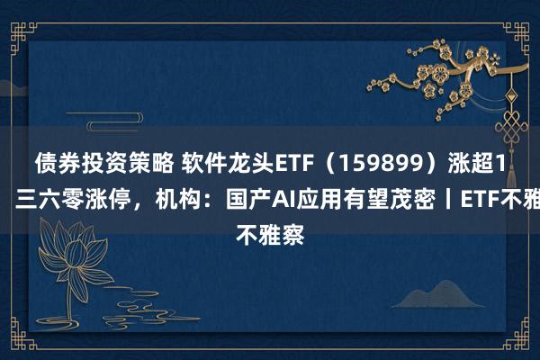 债券投资策略 软件龙头ETF（159899）涨超1%，三六零涨停，机构：国产AI应用有望茂密丨ETF不雅察