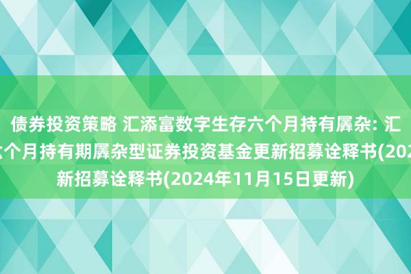 债券投资策略 汇添富数字生存六个月持有羼杂: 汇添富数字生存主题六个月持有期羼杂型证券投资基金更新招募诠释书(2024年11月15日更新)