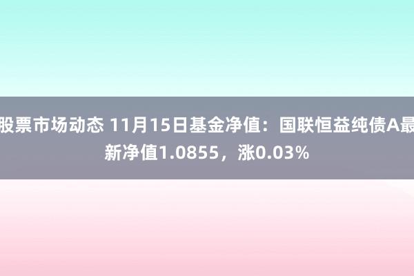 股票市场动态 11月15日基金净值：国联恒益纯债A最新净值1.0855，涨0.03%