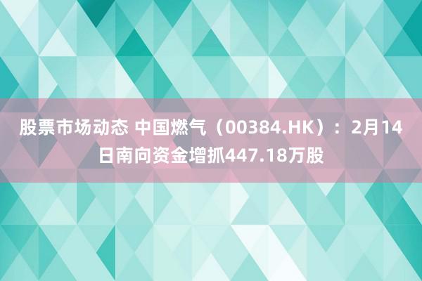 股票市场动态 中国燃气（00384.HK）：2月14日南向资金增抓447.18万股