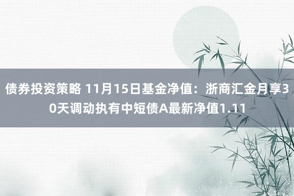 债券投资策略 11月15日基金净值：浙商汇金月享30天调动执有中短债A最新净值1.11