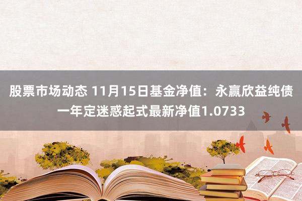 股票市场动态 11月15日基金净值：永赢欣益纯债一年定迷惑起式最新净值1.0733