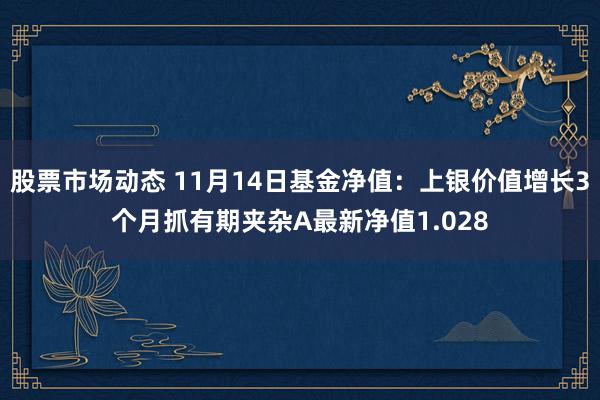 股票市场动态 11月14日基金净值：上银价值增长3个月抓有期夹杂A最新净值1.028