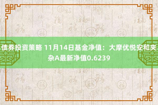 债券投资策略 11月14日基金净值：大摩优悦安和夹杂A最新净值0.6239