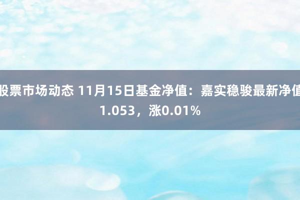 股票市场动态 11月15日基金净值：嘉实稳骏最新净值1.053，涨0.01%