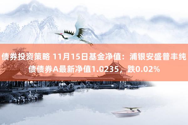 债券投资策略 11月15日基金净值：浦银安盛普丰纯债债券A最新净值1.0235，跌0.02%