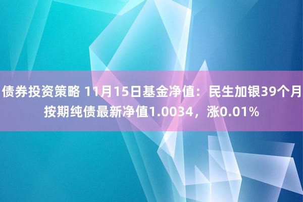 债券投资策略 11月15日基金净值：民生加银39个月按期纯债最新净值1.0034，涨0.01%