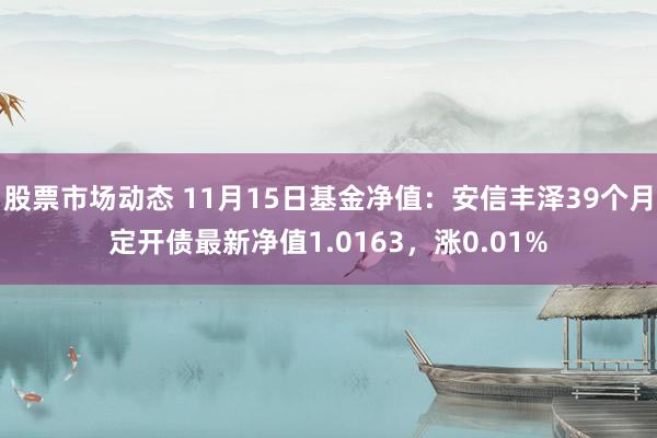 股票市场动态 11月15日基金净值：安信丰泽39个月定开债最新净值1.0163，涨0.01%