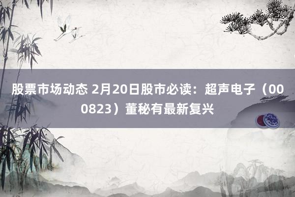 股票市场动态 2月20日股市必读：超声电子（000823）董秘有最新复兴