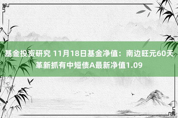 基金投资研究 11月18日基金净值：南边旺元60天革新抓有中短债A最新净值1.09