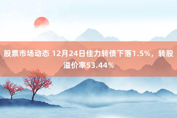 股票市场动态 12月24日佳力转债下落1.5%，转股溢价率53.44%