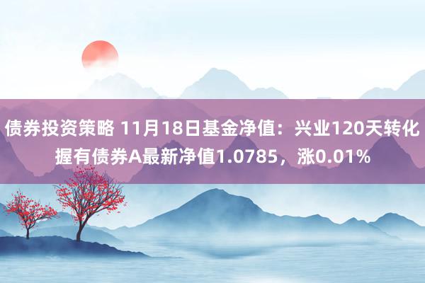 债券投资策略 11月18日基金净值：兴业120天转化握有债券A最新净值1.0785，涨0.01%