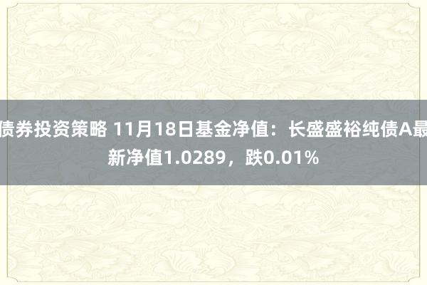 债券投资策略 11月18日基金净值：长盛盛裕纯债A最新净值1.0289，跌0.01%