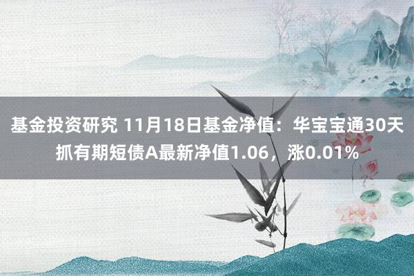 基金投资研究 11月18日基金净值：华宝宝通30天抓有期短债A最新净值1.06，涨0.01%