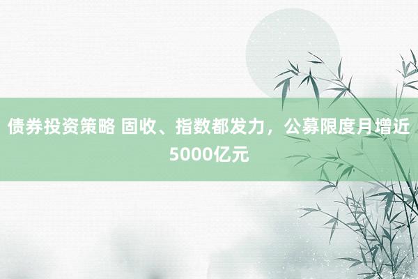 债券投资策略 固收、指数都发力，公募限度月增近5000亿元