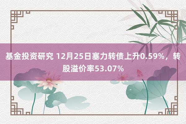 基金投资研究 12月25日塞力转债上升0.59%，转股溢价率53.07%