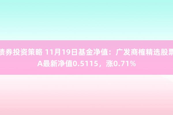 债券投资策略 11月19日基金净值：广发商榷精选股票A最新净值0.5115，涨0.71%