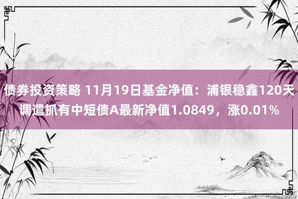 债券投资策略 11月19日基金净值：浦银稳鑫120天调遣抓有中短债A最新净值1.0849，涨0.01%