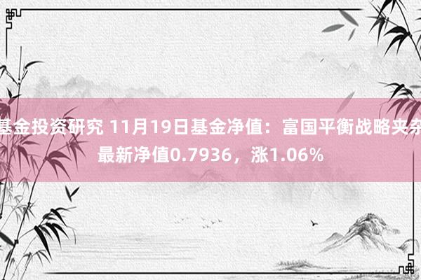 基金投资研究 11月19日基金净值：富国平衡战略夹杂最新净值0.7936，涨1.06%