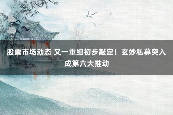 股票市场动态 又一重组初步敲定！玄妙私募突入成第六大推动