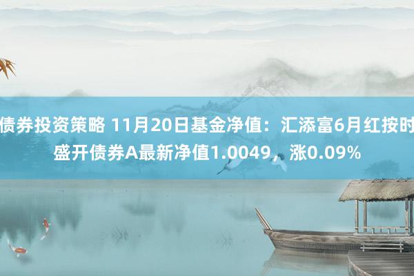 债券投资策略 11月20日基金净值：汇添富6月红按时盛开债券A最新净值1.0049，涨0.09%