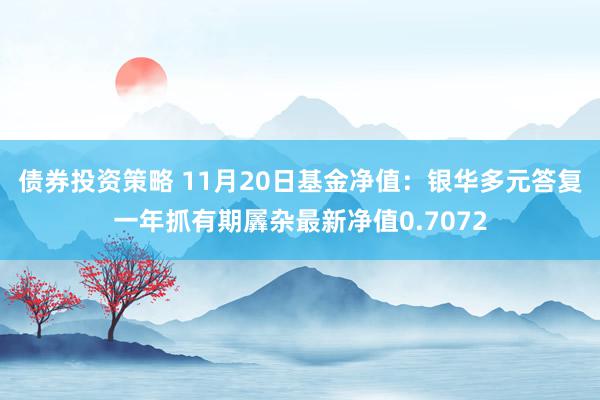 债券投资策略 11月20日基金净值：银华多元答复一年抓有期羼杂最新净值0.7072