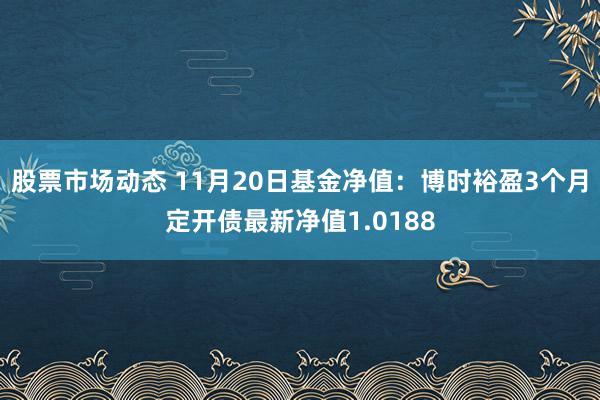 股票市场动态 11月20日基金净值：博时裕盈3个月定开债最新净值1.0188