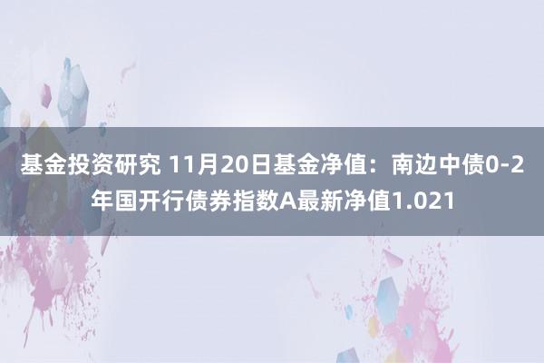 基金投资研究 11月20日基金净值：南边中债0-2年国开行债券指数A最新净值1.021