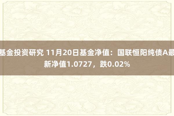 基金投资研究 11月20日基金净值：国联恒阳纯债A最新净值1.0727，跌0.02%