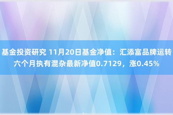 基金投资研究 11月20日基金净值：汇添富品牌运转六个月执有混杂最新净值0.7129，涨0.45%