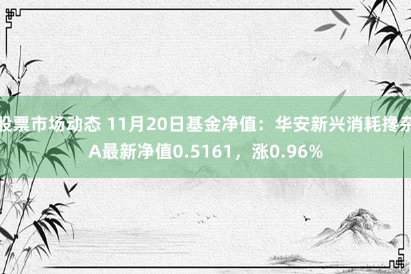 股票市场动态 11月20日基金净值：华安新兴消耗搀杂A最新净值0.5161，涨0.96%