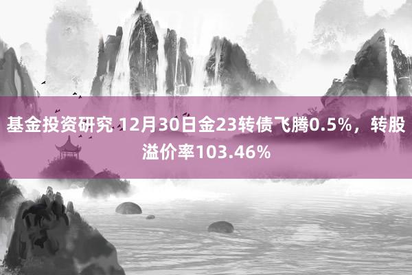 基金投资研究 12月30日金23转债飞腾0.5%，转股溢价率103.46%