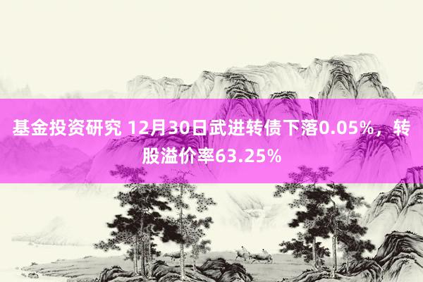 基金投资研究 12月30日武进转债下落0.05%，转股溢价率63.25%