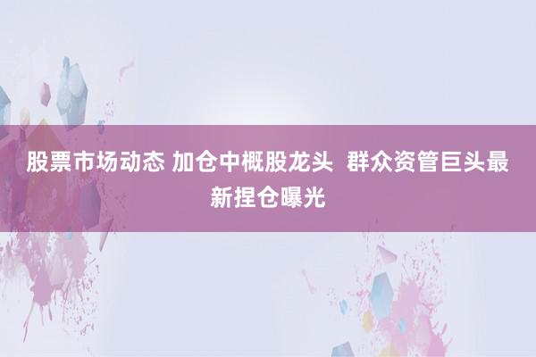 股票市场动态 加仓中概股龙头  群众资管巨头最新捏仓曝光