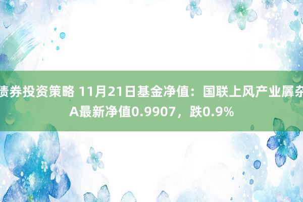 债券投资策略 11月21日基金净值：国联上风产业羼杂A最新净值0.9907，跌0.9%