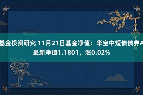 基金投资研究 11月21日基金净值：华宝中短债债券A最新净值1.1801，涨0.02%