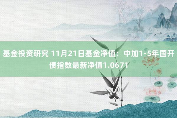 基金投资研究 11月21日基金净值：中加1-5年国开债指数最新净值1.0671