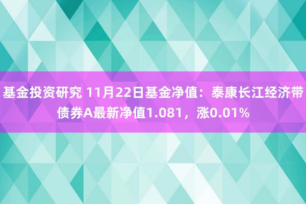 基金投资研究 11月22日基金净值：泰康长江经济带债券A最新净值1.081，涨0.01%