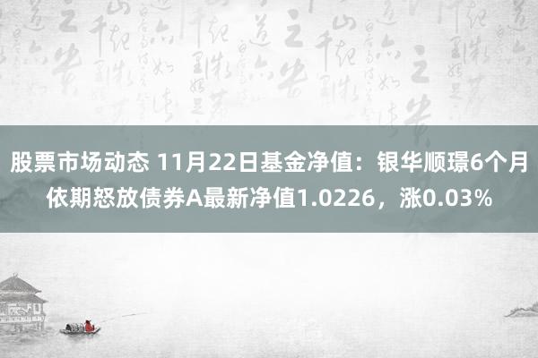 股票市场动态 11月22日基金净值：银华顺璟6个月依期怒放债券A最新净值1.0226，涨0.03%