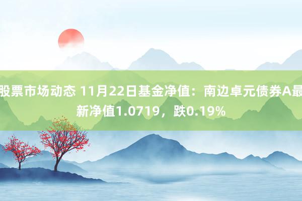 股票市场动态 11月22日基金净值：南边卓元债券A最新净值1.0719，跌0.19%