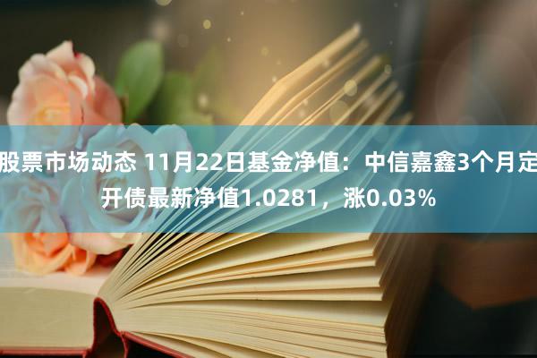 股票市场动态 11月22日基金净值：中信嘉鑫3个月定开债最新净值1.0281，涨0.03%