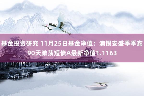 基金投资研究 11月25日基金净值：浦银安盛季季鑫90天激荡短债A最新净值1.1163