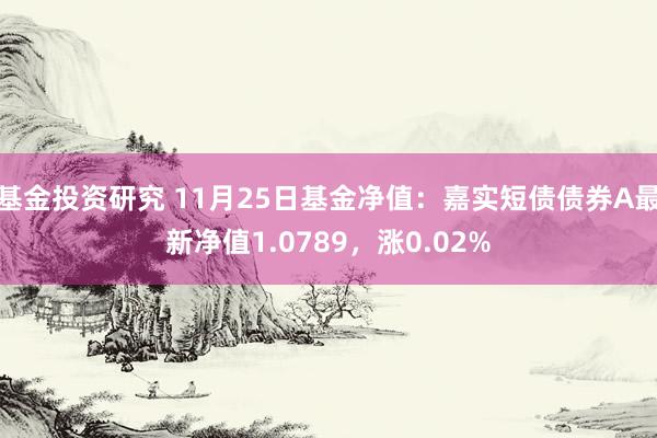 基金投资研究 11月25日基金净值：嘉实短债债券A最新净值1.0789，涨0.02%